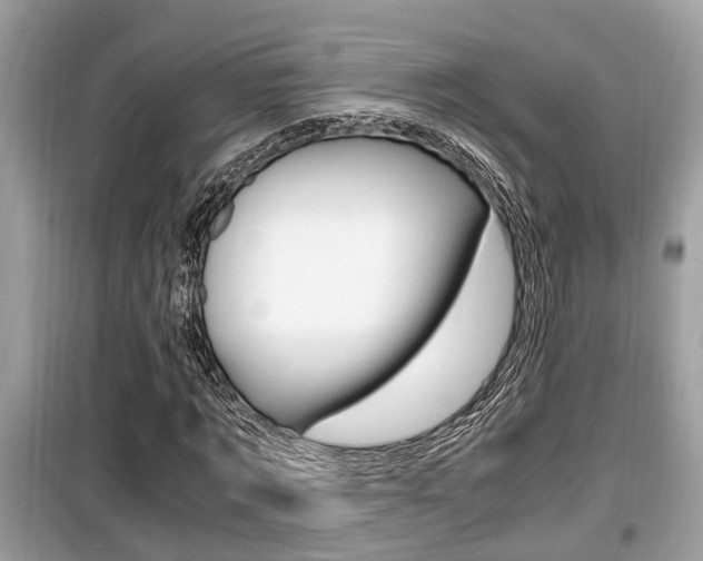 X0000099930869200805230957