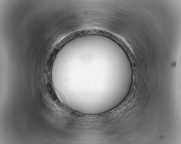 X0000099930871200805230957