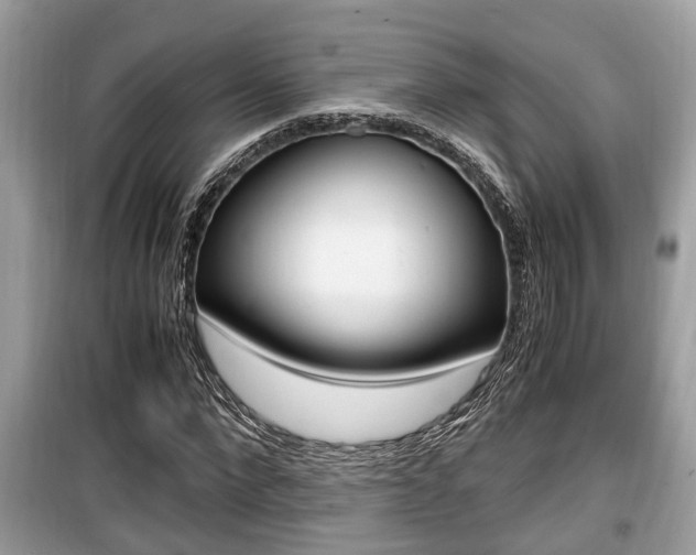 X0000099930872200805230957