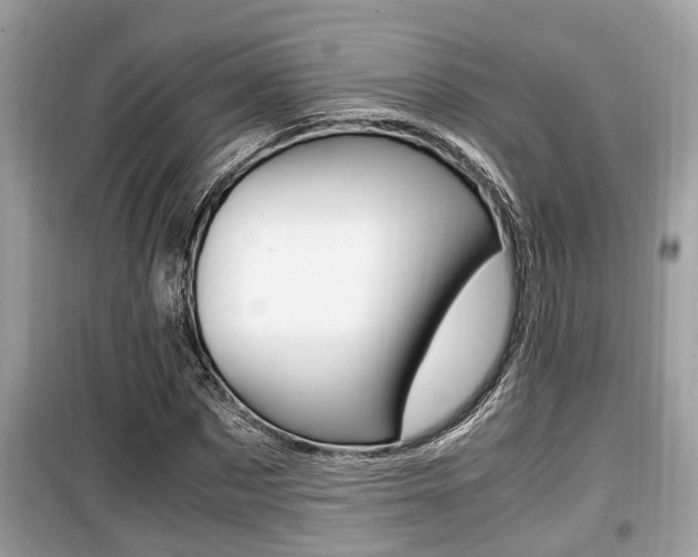 X0000099930873200805230957