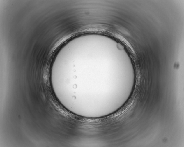 X0000099930874200805230957