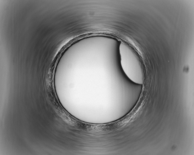 X0000099930875200805230957