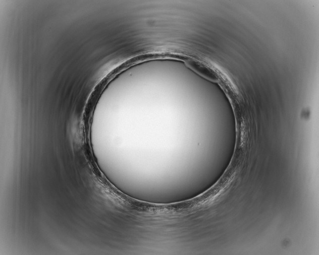 X0000099930876200805230957