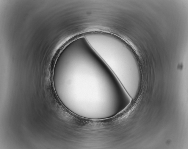 X0000099930877200805230957