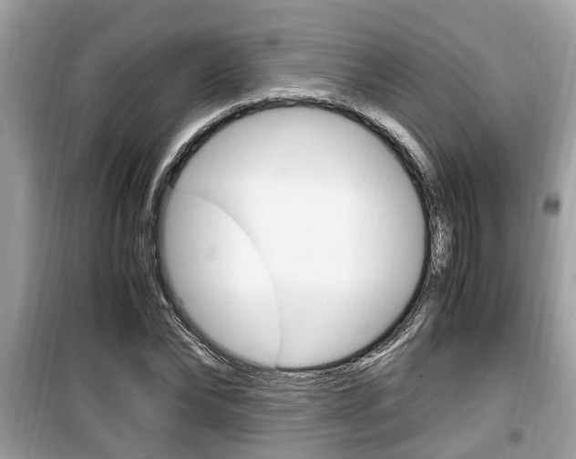 X0000099930878200805230957