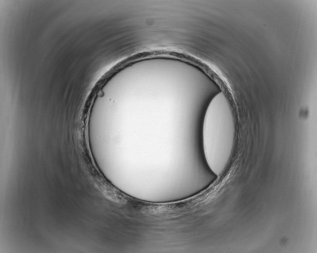 X0000099930879200805230957