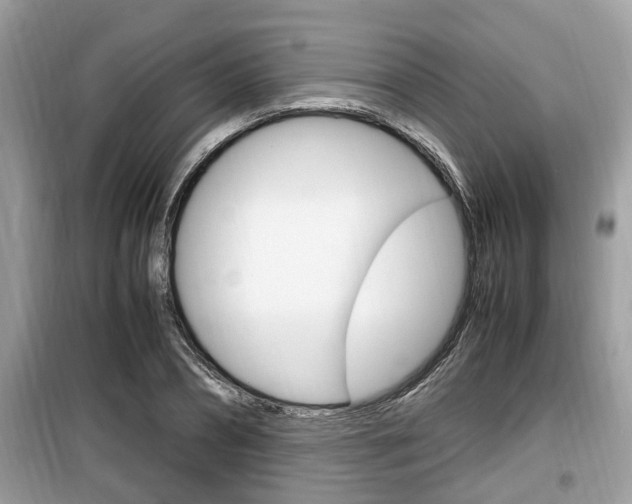 X0000099930882200805230957