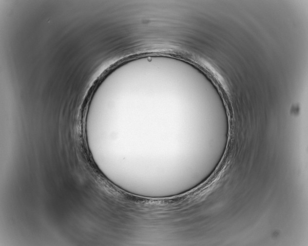 X0000099930883200805230957