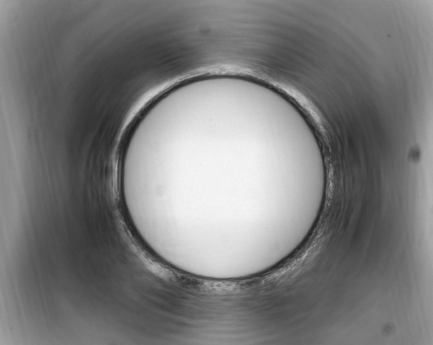 X0000099930886200805230957