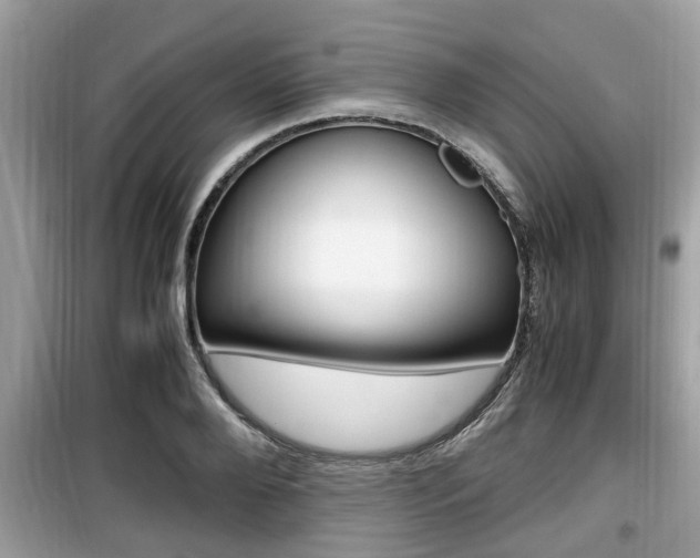 X0000099930888200805230957