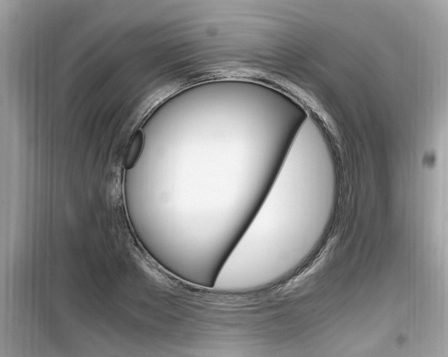 X0000099930889200805230957