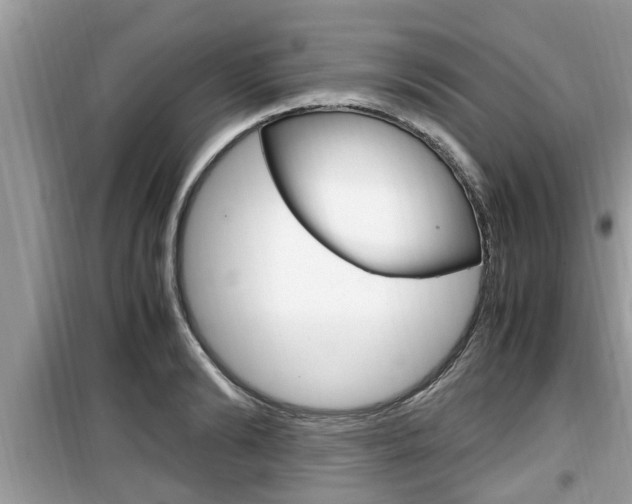 X0000099930894200805230957