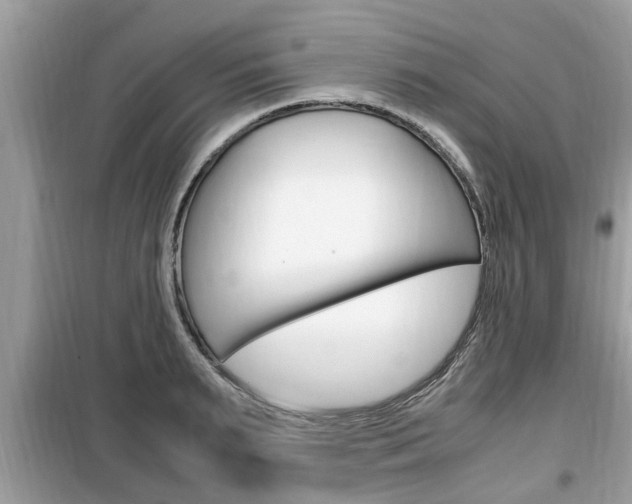 X0000099930895200805230957