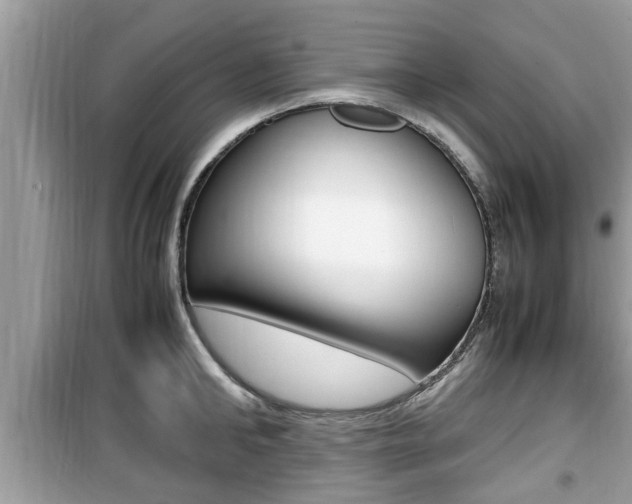 X0000099930902200805230956