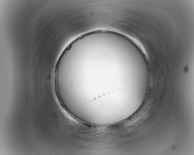 X0000099930903200805230956
