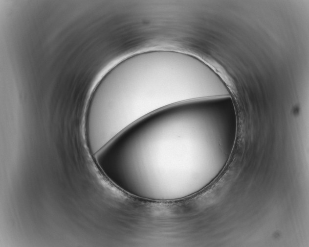 X0000099930904200805230956