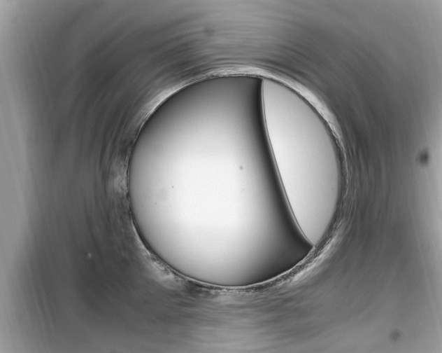 X0000099930905200805230956