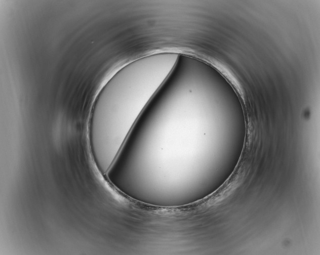 X0000099930906200805230956