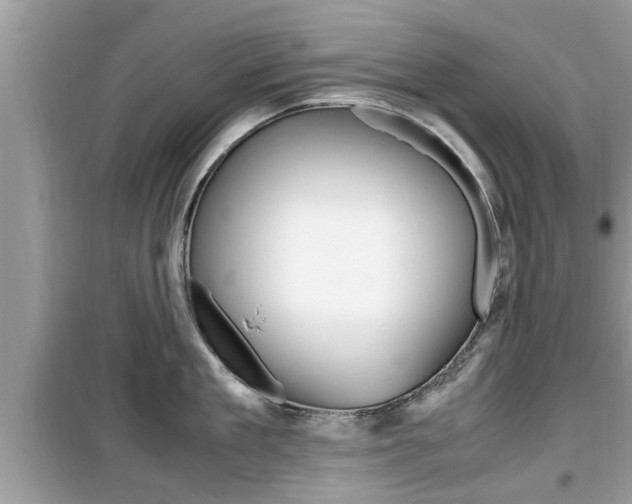 X0000099930909200805230956