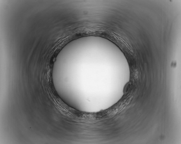 X0000099930914200805230956