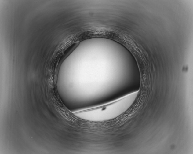 X0000099930916200805230956