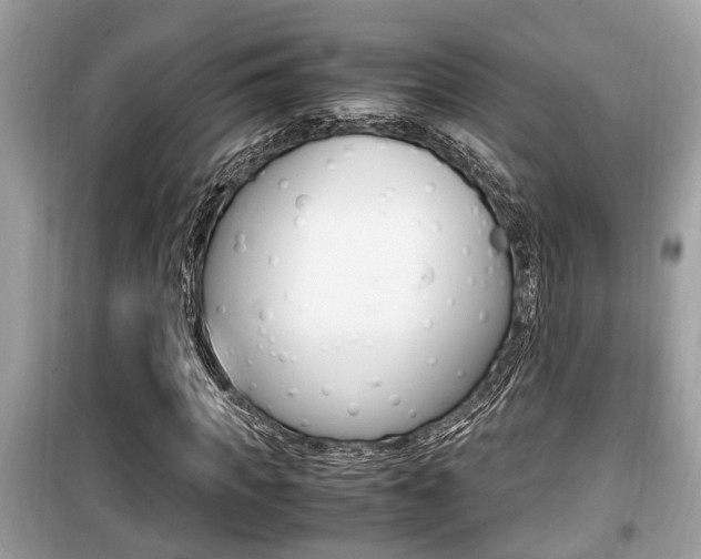 X0000099930917200805230956