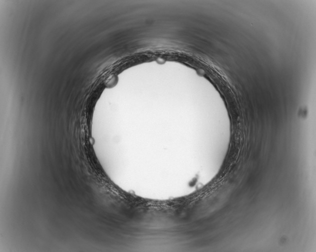 X0000099930918200805230956
