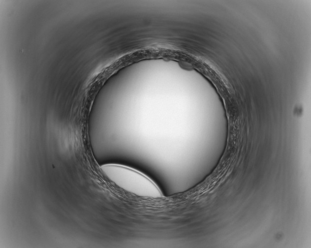X0000099930919200805230956
