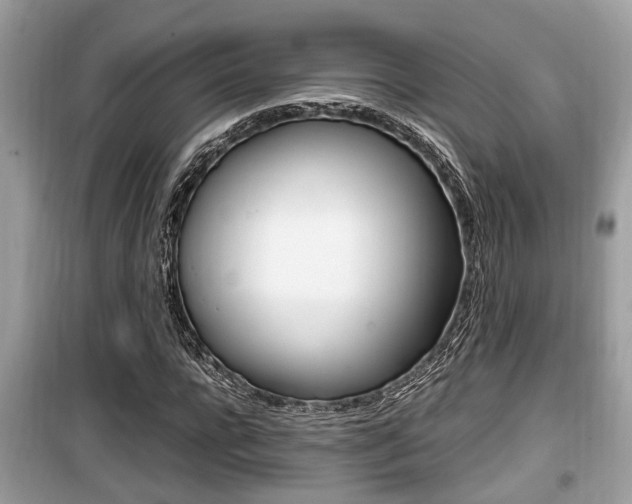 X0000099930920200805230956