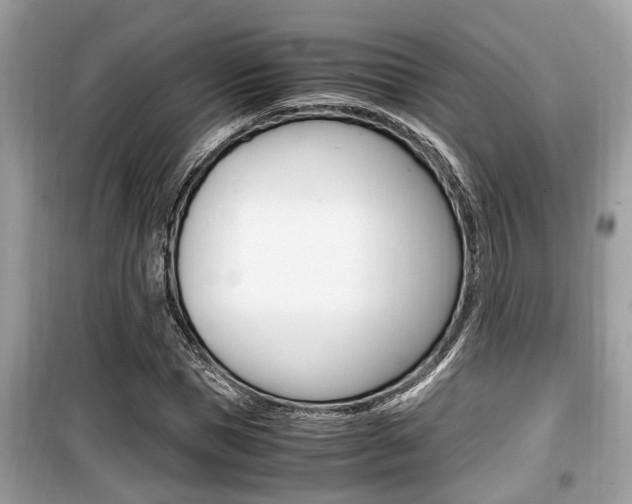 X0000099930921200805230956