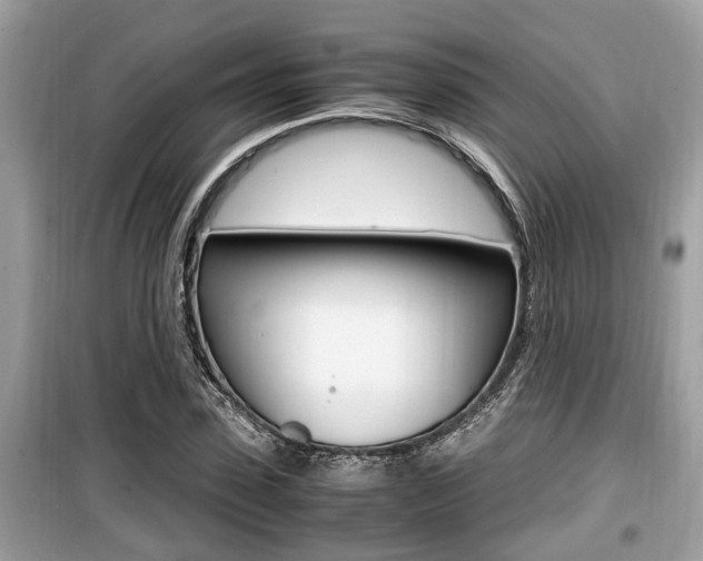 X0000099930923200805230956