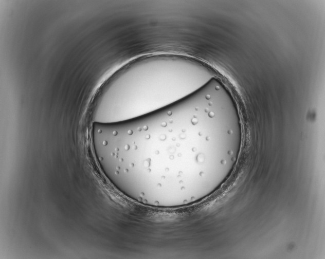 X0000099930925200805230956
