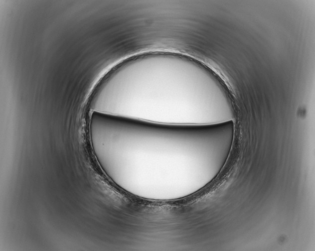 X0000099930926200805230956
