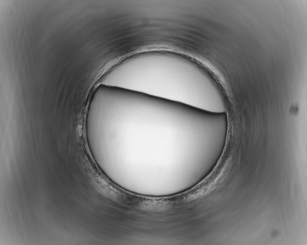 X0000099930929200805230956