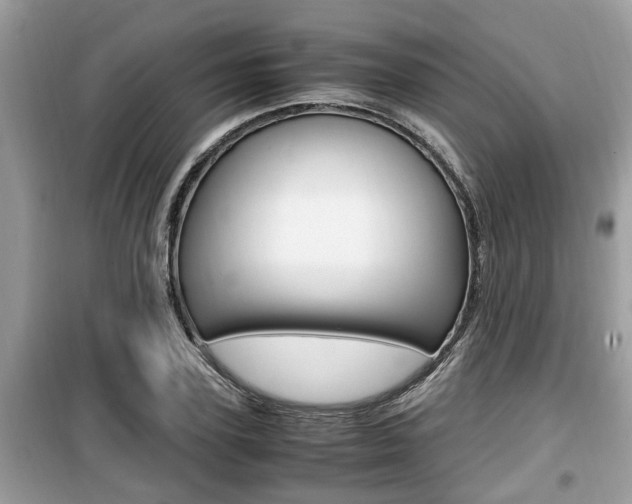 X0000099930931200805230956