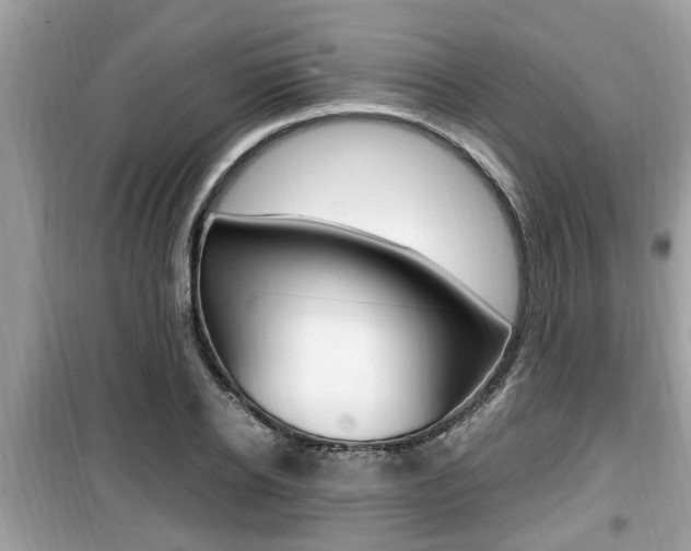 X0000099930934200805230956