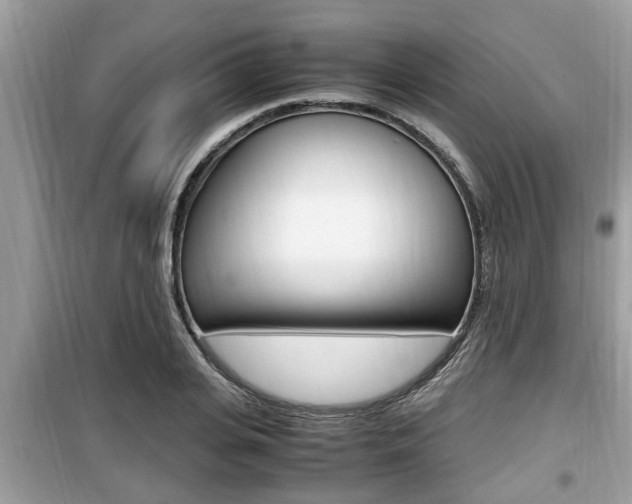 X0000099930935200805230956