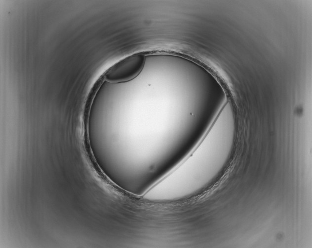 X0000099930936200805230956