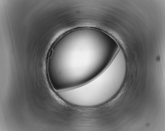 X0000099930942200805230956