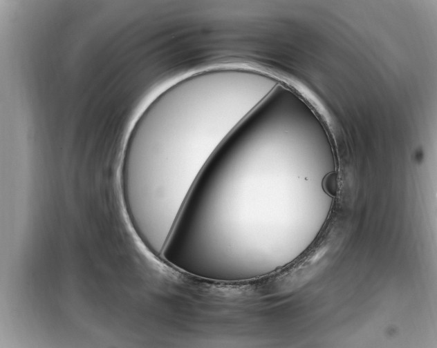 X0000099930951200805230956