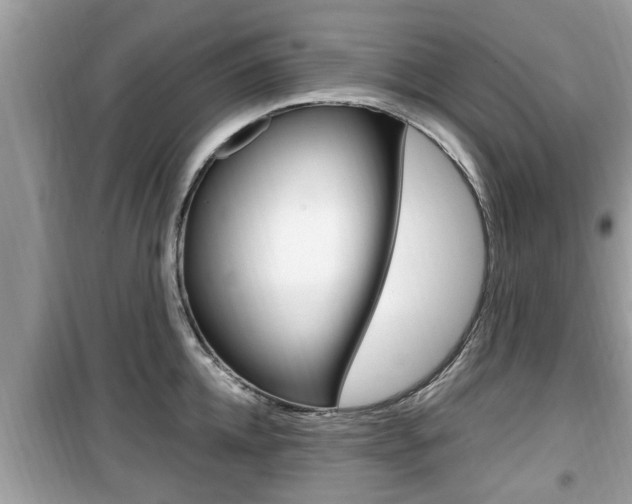 X0000099930952200805230956