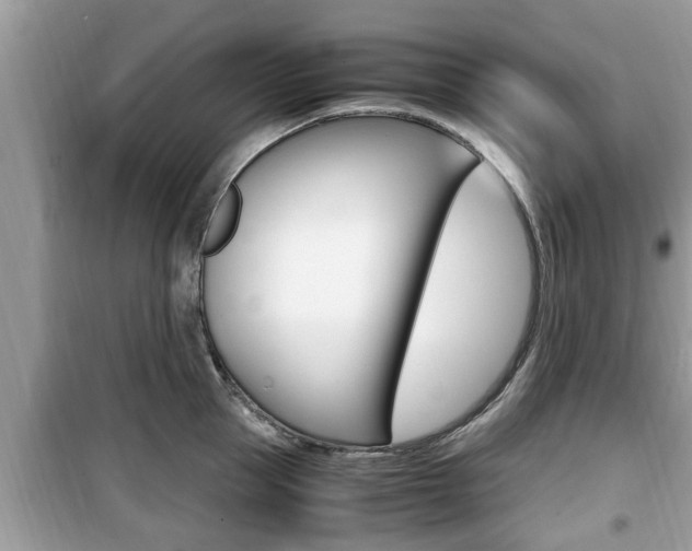 X0000099930953200805230956