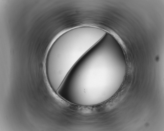 X0000099930955200805230956