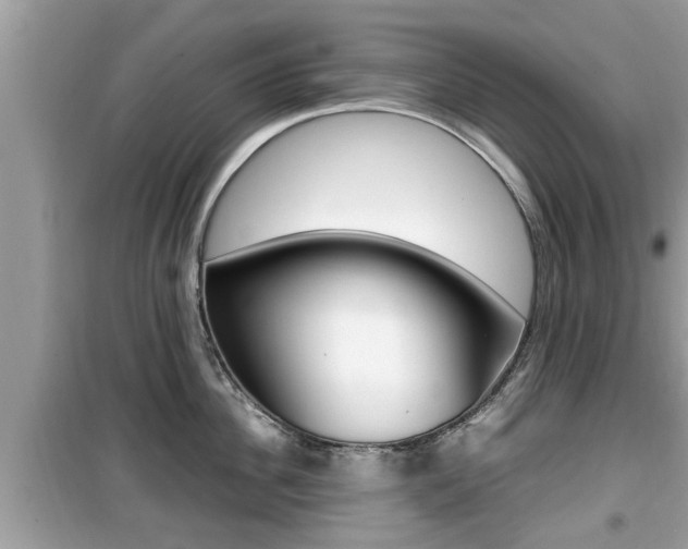 X0000099930956200805230956