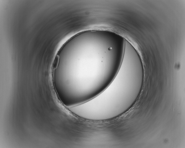 X0000099930960200805230956