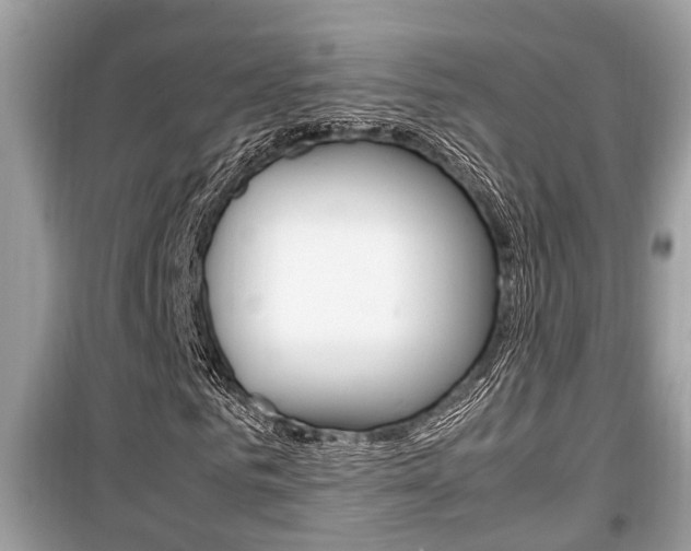 X0000099930961200805230956