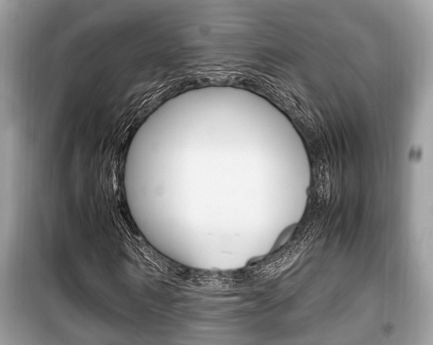 X0000099930962200805230956