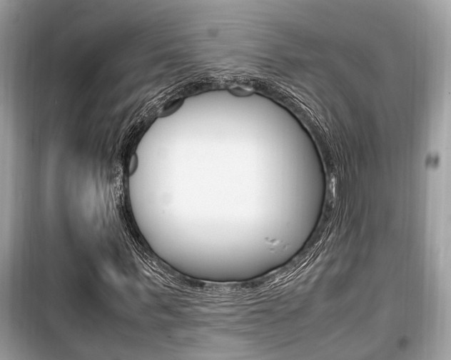 X0000099930963200805230956