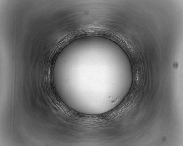 X0000099930964200805230956