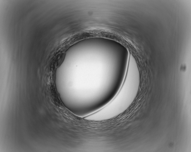 X0000099930965200805230956